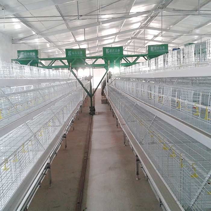 Farming Broiler Chicken Cage A Type 3 Tiers Automatic Control Łatwy w instalacji