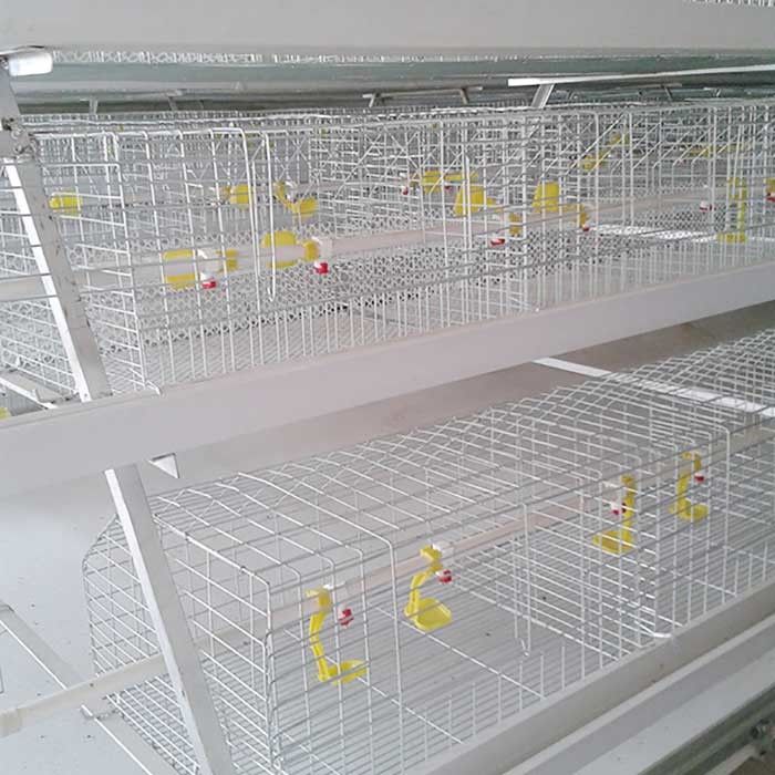 Ognioodporna stalowa klatka dla kurczaków, klatka dla brojlerów hodowlanych dla drobiu