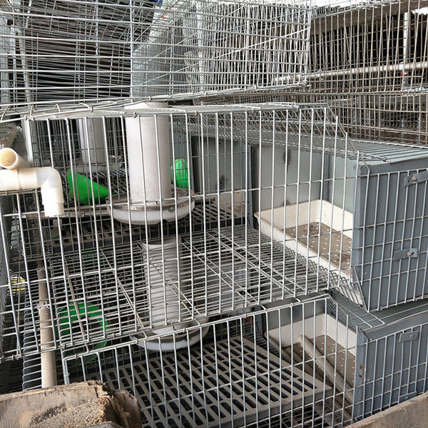 24 ogniwa Akumulator Farma Klatka dla królików Dwa poziomy Łatwe czyszczenie Trwałe