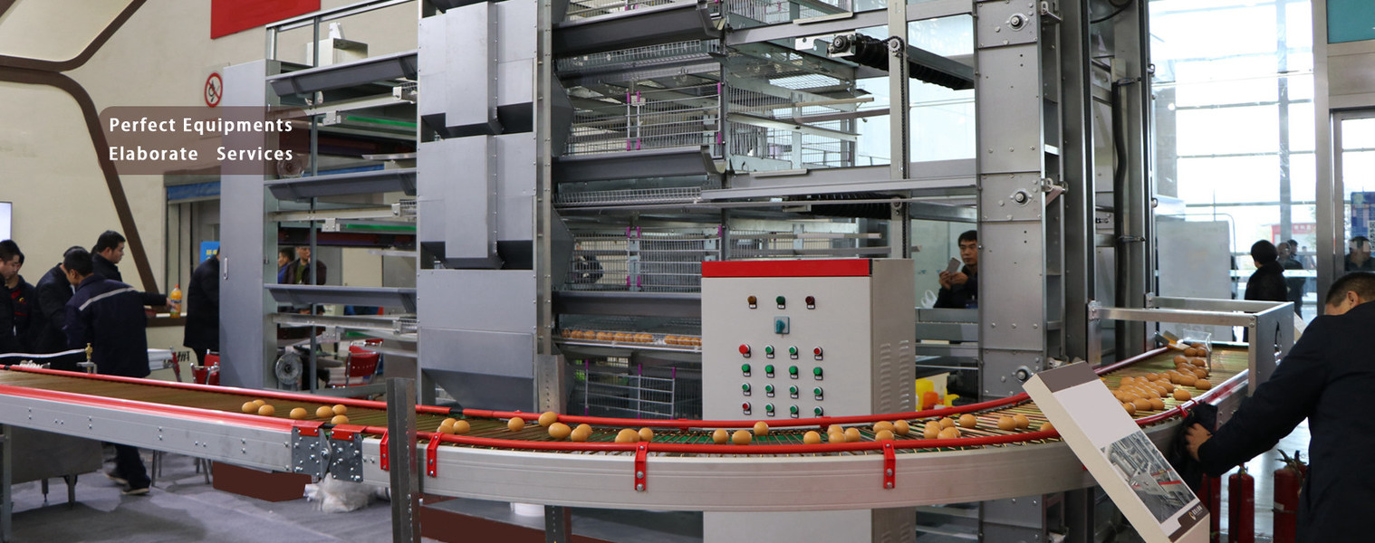 jakość Klatka z kurczaka drobiowego Fabryka