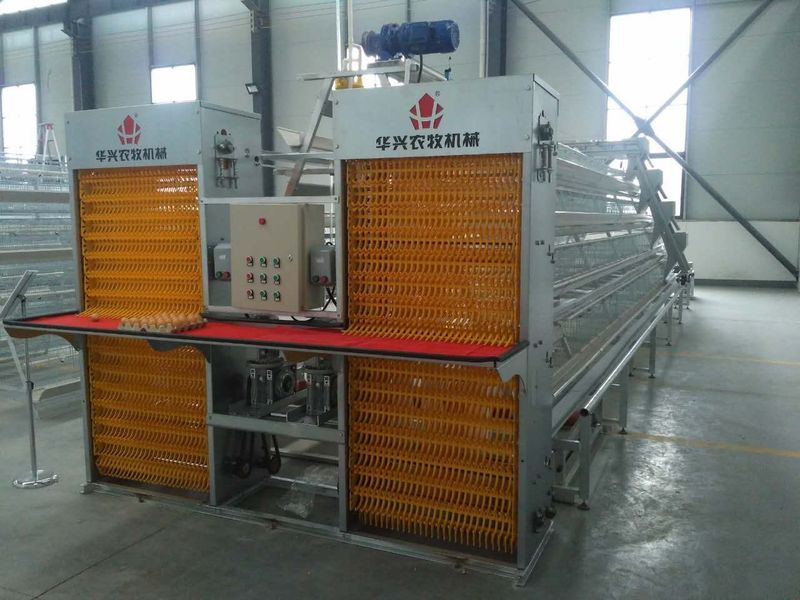 Henan Huaxing Poultry Equipments Co.,Ltd. linia produkcyjna fabryki