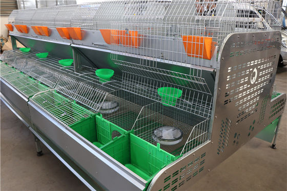 Sprzęt drobiowy Q235 Farm Rabbit Cage Automatyczne czyszczenie do picia