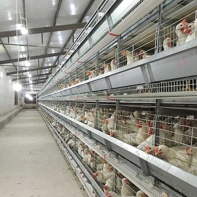 120 * 60 * 70 cm Klatka z kurczaka drobiowego Automatyczna kontrola Oszczędność pracy Eco Friendly