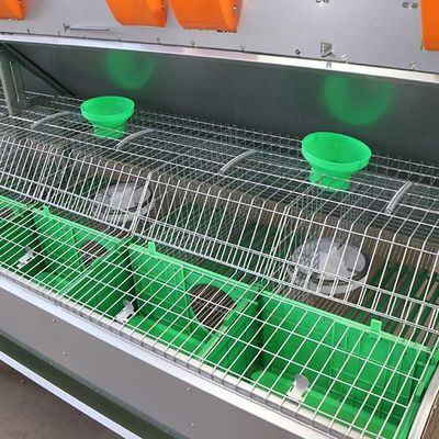 Wygodna klatka dla królików Smart Farm Q235 Drut stalowy / tworzywo sztuczne