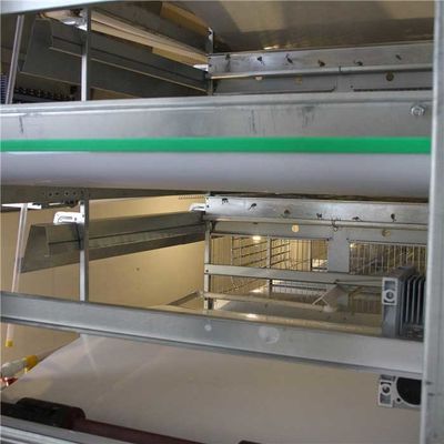 4 poziomy Sprzęt do czyszczenia ferm drobiu, automatyczna maszyna do hodowli kurczaków