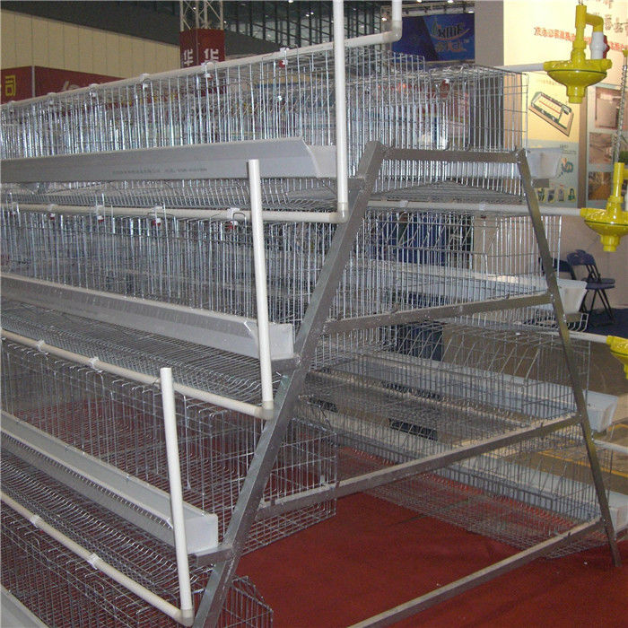 3/4/5 poziomów A Typ warstwy klatki dla kurczaków na dużą skalę do użytku w gospodarstwie