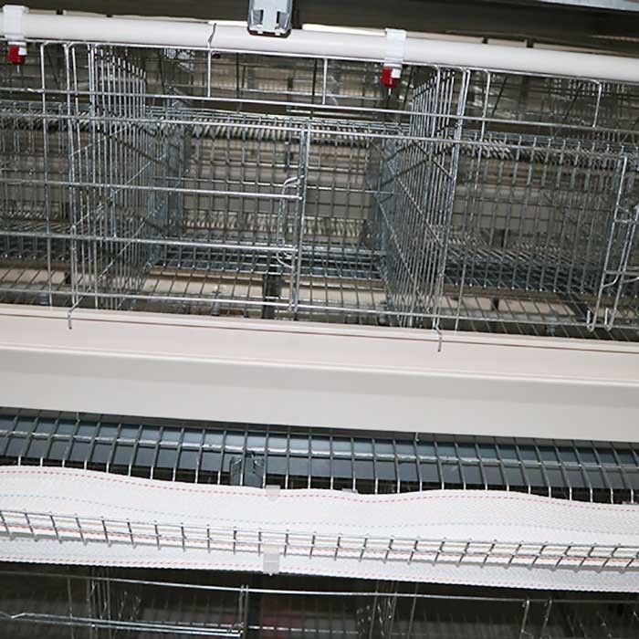 Trwały system klatki dla kurczaków typu A Automatyczna kontrola Zatwierdzenie IS9001