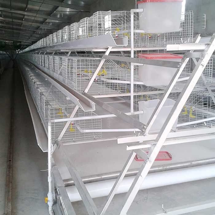 Klatka dla brojlerów ocynkowana ogniowo Klatka H Typ 4 Drzwi 2 poziomu na farmę