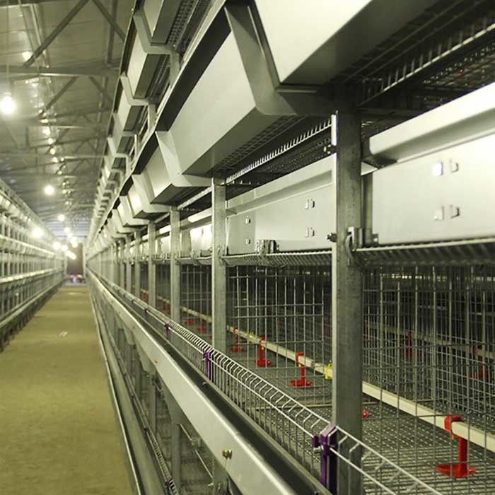 Drut do klatki dla drobiu do hodowli drobiu, odporna na wysokie temperatury, zaawansowana technologicznie klatka dla kurczaka