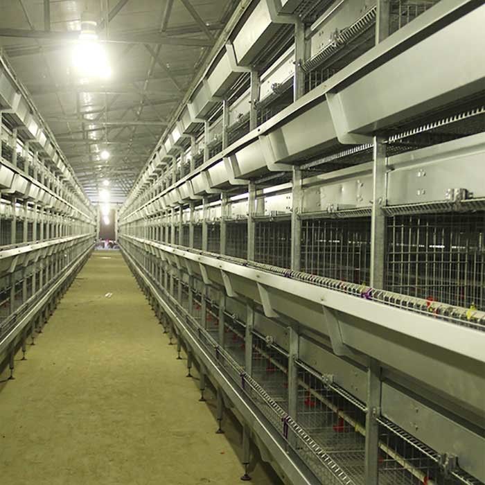 Drut do klatki dla drobiu do hodowli drobiu, odporna na wysokie temperatury, zaawansowana technologicznie klatka dla kurczaka