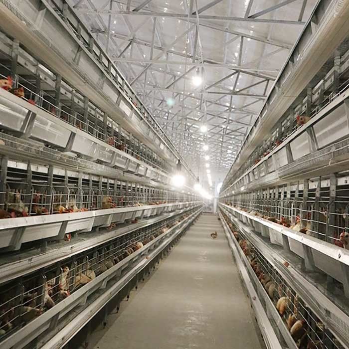 Automatyczne układanie urządzeń do hodowli drobiu H Typ 4Tiers 192 Birds Layer Bateria dla kurczaków Klatka dla rynków w Afryce
