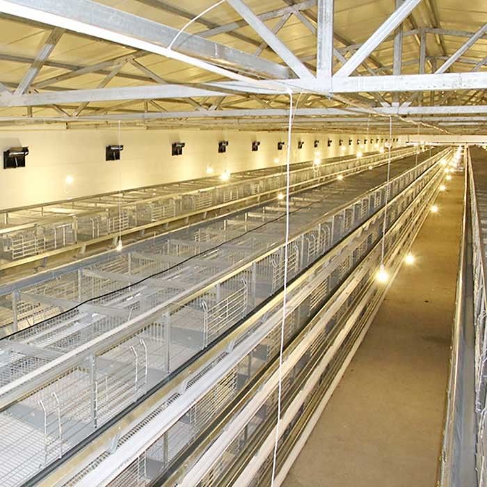 Kurczaki Klatki warstwowe typu, wysokowydajny sprzęt do przetwórstwa drobiu