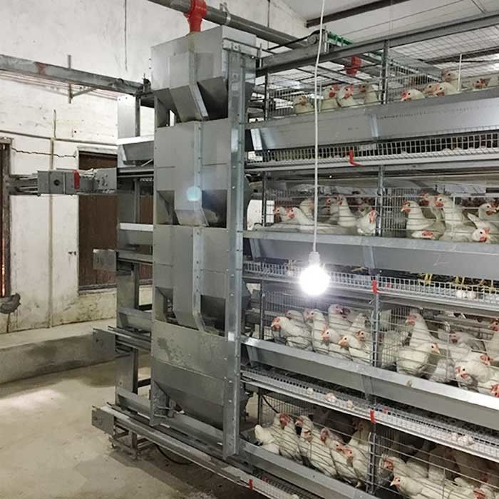 120 * 60 * 70 cm Klatka z kurczaka drobiowego Automatyczna kontrola Oszczędność pracy Eco Friendly