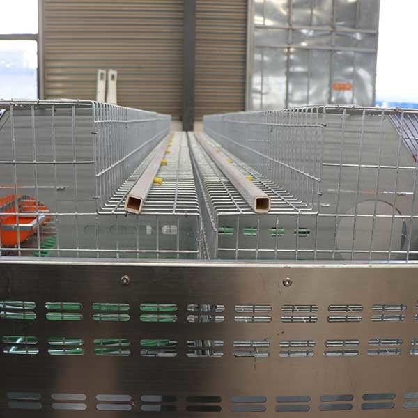 Wygodna klatka dla królików Smart Farm Q235 Drut stalowy / tworzywo sztuczne