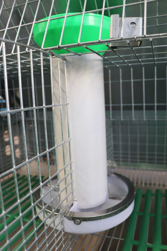 Klatka baterii królików o wysokiej wydajności wychowawczej, metalowa budka dla królików 50–80 niemowląt