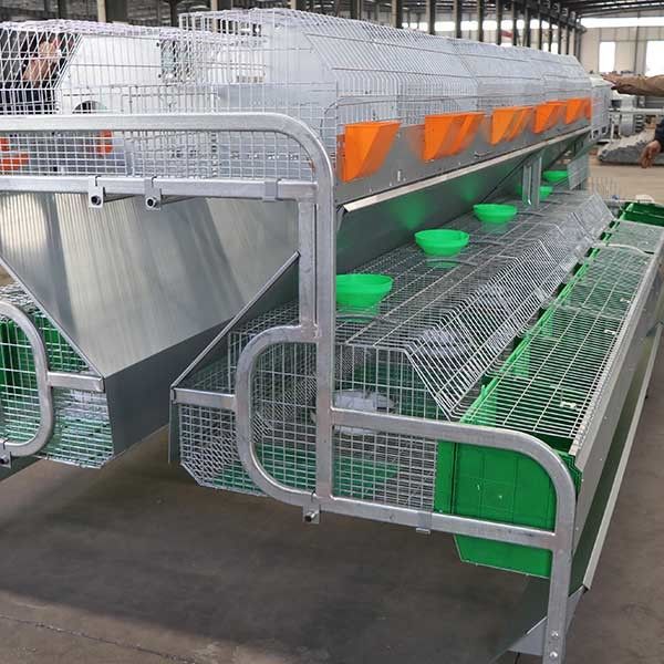 2400 * 2000 * 1500 mm Farmowa klatka dla królików do transportu kontenerów hodowlanych / hodowlanych