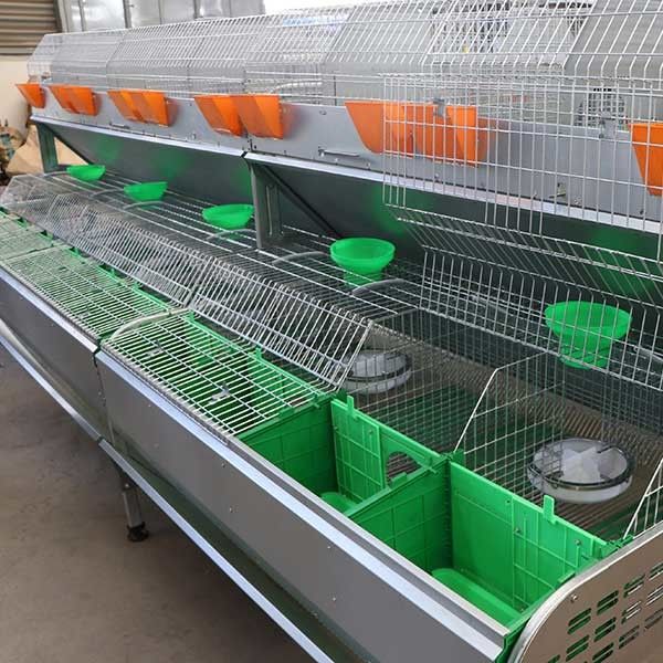 Hodowla królików z automatycznym zbieraczem kupek, srebrna komercyjna obudowa królika