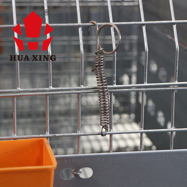 Klatka dla zwierząt Metalowa klatka dla drobiu ocynkowana na gorąco Klatka hodowlana dla królików w Kenii