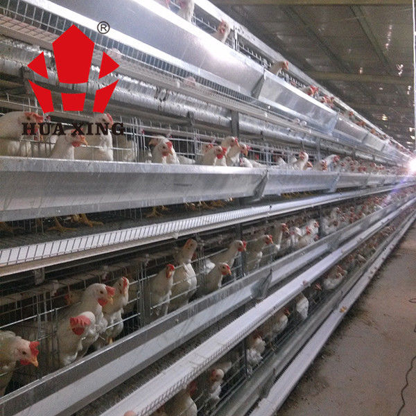 Producent klatek 90 - 160 Ptaki Cynkowane na gorąco urządzenia do hodowli kur niosek Klatka dla kurczaków warstwowych