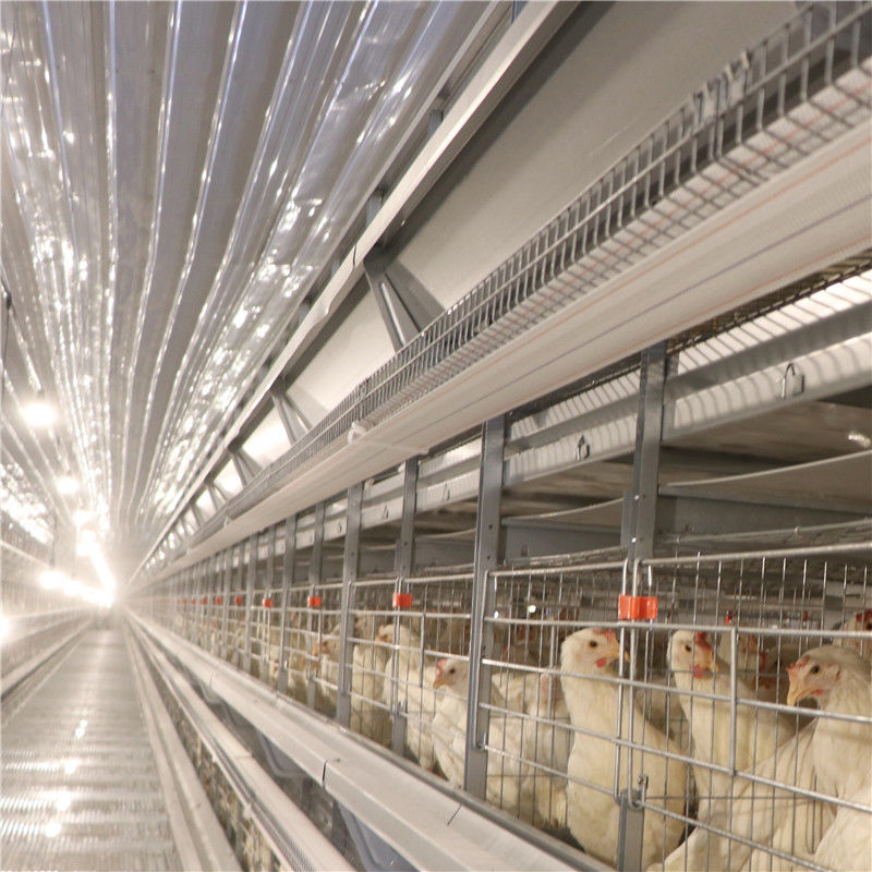 SGS Egg Battery Layer Klatka dla kurczaka Farma drobiu Odporna na korozję