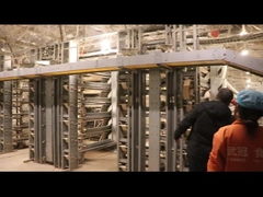 Automatyczna klatka dla przepiórek niosek