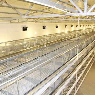 Kurczaki Klatki warstwowe typu, wysokowydajny sprzęt do przetwórstwa drobiu